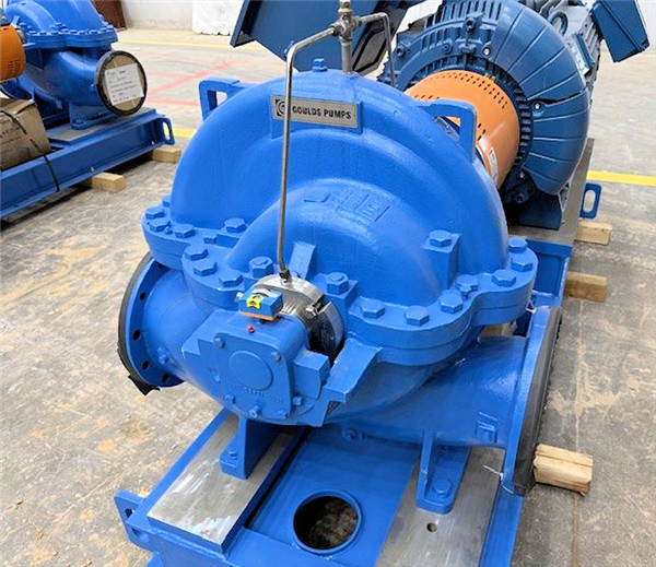 2 Units - Unused 8 X 10 - 21 - Goulds Model 3410 L Process Water Booster Pumps)
