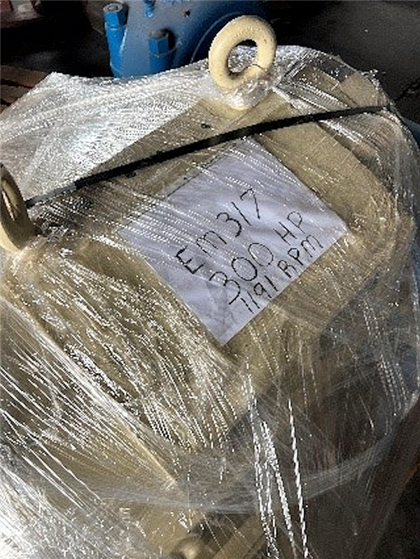 Reliance 300 Hp (225 Kw) Duty Master Energy Efficient Motor)