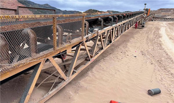 46 Units - 115' L Grasshopper Conveyors In 36" And 42" Width)