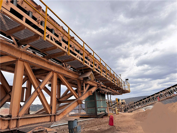 46 Units - 115' L Grasshopper Conveyors In 36" And 42" Width)