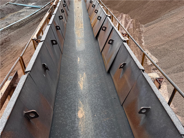46 Units - 115' L Grasshopper Conveyors In 36" And 42" Width)