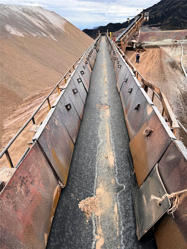 46 Units - 115' L Grasshopper Conveyors In 36" And 42" Width)