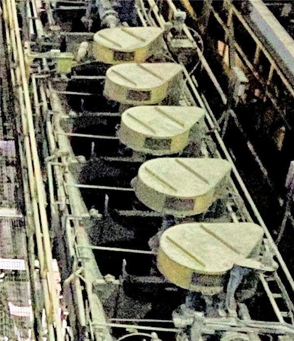 Bank of 5-Cell METSO Model DR-24 Flotation Cells